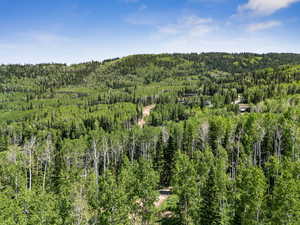 Bird's eye view of a heavily wooded area