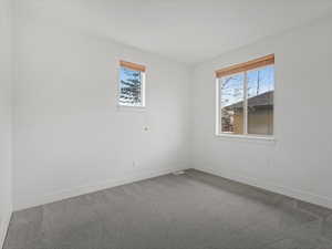 Unfurnished room featuring healthy amount of natural light and carpet floors