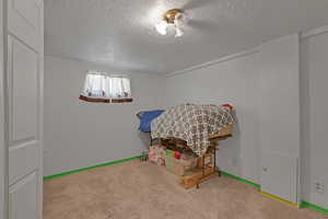 Rec room with a textured ceiling and carpet
