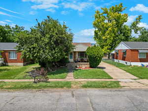 Obstructed view of property featuring brick siding, a front lawn, a porch, and a shingled roof
