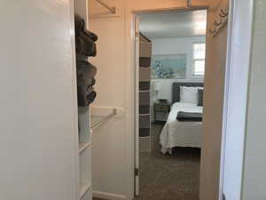 Spacious closet featuring carpet floors