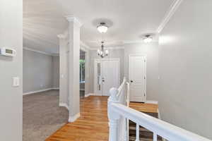 Entrance foyer with a chandelier, crown molding, and light wood-style flooring