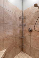 Bathroom view of tiled shower