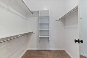 Spacious closet with carpet floors