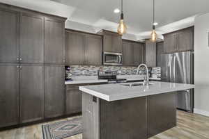 Kitchen featuring appliances with stainless steel finishes, light wood finished floors, dark brown cabinets, tasteful backsplash, and recessed lighting
