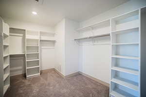 Walk in closet with carpet