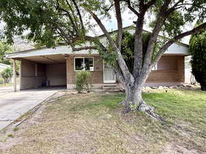 View of front of property featuring driveway, a carport, brick siding, and a front yard