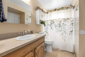 Full bathroom featuring vanity and a shower with shower curtain