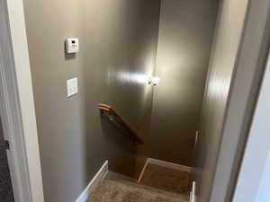Stairs featuring carpet and baseboards