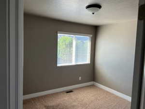 Unfurnished bedroom featuring light colored carpet and a textured ceiling