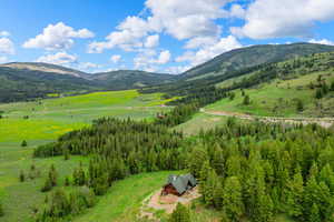 View of mountain backdrop with a forest