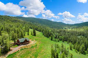 Eagles Roost sits on 56 acres of wooded forest with easy access