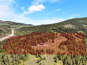 56 acre property outline