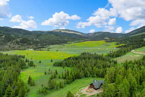 View of mountain backdrop with a heavily wooded area
