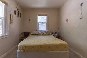 Bedroom with baseboards and carpet floors
