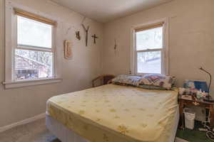 Carpeted bedroom with multiple windows