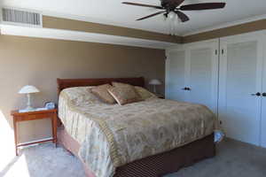 Bedroom with carpet floors, a closet, ornamental molding, and ceiling fan