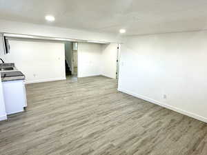 Downstairs Living Room/Kitchen