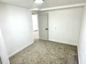 Downstairs Bedroom #4