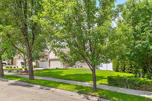Obstructed view of property featuring stucco siding, concrete driveway, and a garage