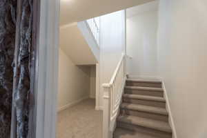Stairs with carpet and baseboards