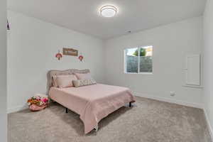 Carpeted bedroom with baseboards and electric panel