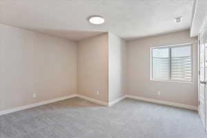 Unfurnished room with light colored carpet and a textured ceiling