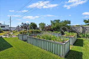 View of grassy yard featuring a garden