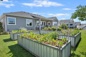 Rear view of property with a vegetable garden, stucco siding, a yard, and a shingled roof
