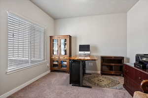 Home office featuring light colored carpet and plenty of natural light