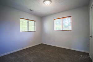 Spare room featuring plenty of natural light, dark colored carpet, and a textured ceiling