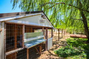 View of poultry coop