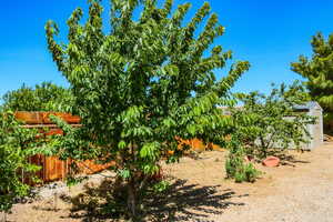 View of yard with a shed