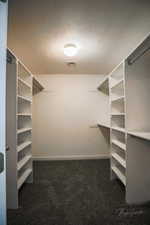 Walk in closet with carpet flooring