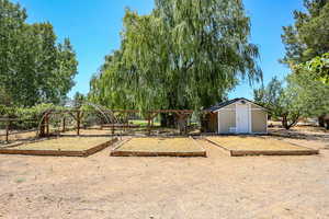 View of yard featuring a storage shed