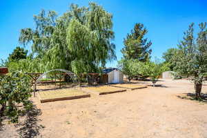 View of yard featuring a shed