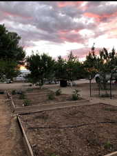 Yard at dusk with a garden
