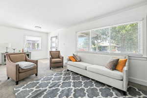 Carpeted living area featuring baseboards and ornamental molding