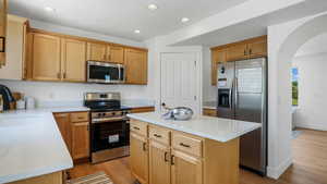 Kitchen with stainless steel appliances, arched walkways, light wood-type flooring, recessed lighting, and light countertops