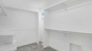 Walk in closet with carpet floors