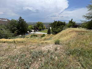 View of undeveloped land