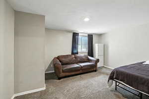 Bedroom with carpet floors and baseboards