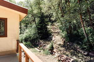 back yard view from balcony