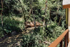 back yard view from balcony