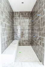 Bathroom with tiled shower
