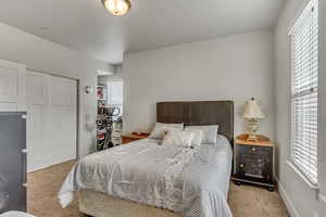 Bedroom featuring carpet, multiple windows, a closet, and baseboards