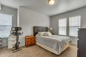 Carpeted bedroom with multiple windows and baseboards