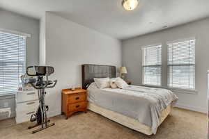 Bedroom with light colored carpet and baseboards