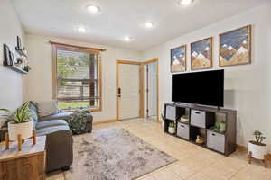 Basement living room