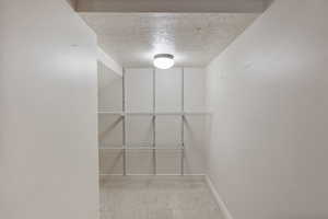 View of spacious closet/storage